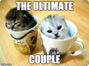 Couple_cat emoji