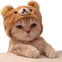 cattothonk emoji