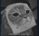 sadtoastcat emoji