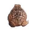 frogspin emoji