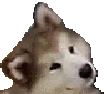 Nani emoji