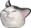 SmugCat emoji