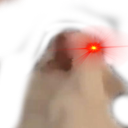 AngryKitty emoji