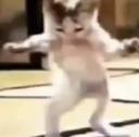 dancing_cat emoji