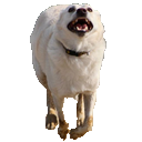 dogemoji2 emoji