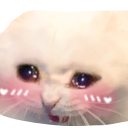 cat_criblush emoji