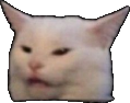 Cat_confused emoji