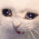 cat_cri emoji