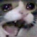 catcry emoji