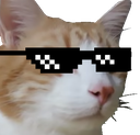 cat_Swag emoji