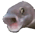 pogfish emoji