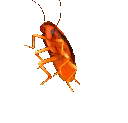 colored_barata_fdk emoji