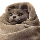 catblanket emoji
