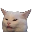 catdamn emoji
