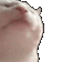 catdancingcat emoji