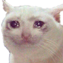 sad_cat emoji