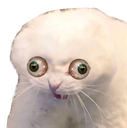 catdoofus emoji