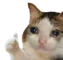 catthumbs emoji