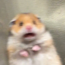 scaredhamster emoji