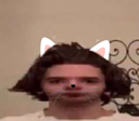 catdog emoji