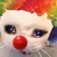 cat_clowncat emoji