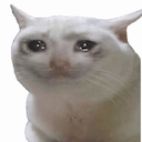 crycat emoji