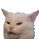 1812_wutcat emoji