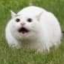 kitty2 emoji
