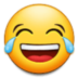 se_facewithtearsofjoy emoji