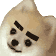 a_dog_hehe emoji