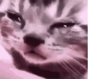 crycat emoji