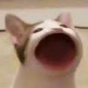 popcat2 emoji
