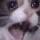 CatREEE emoji