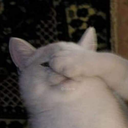 Cat_Smack_Left emoji