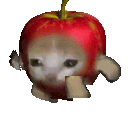 applecat emoji