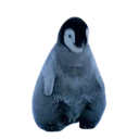 pengnot_uwu emoji