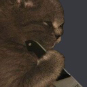 kittyshank emoji