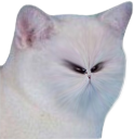 D2S_Z_Hmmm emoji