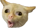 pogcat emoji
