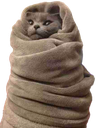 comfycat emoji