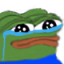 pepe_cry emoji