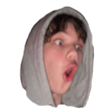 knoxxtPog emoji