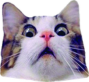 LN_scared emoji