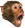 PogChimp emoji