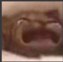 wz4_catcry emoji
