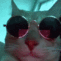wz4_vibingcat emoji
