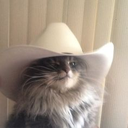 cowboycat emoji