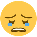 cry emoji