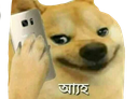 Dogesmug emoji