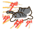 5647_nekoatsume_run emoji